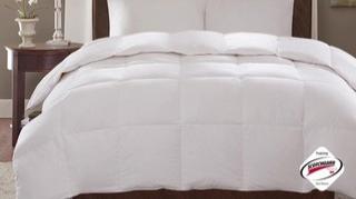 Alternate image 2 for Video