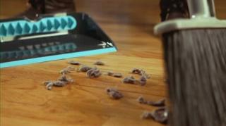 Alternate image 5 for Video